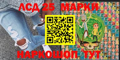 ПСИЛОЦИБИНОВЫЕ ГРИБЫ Гатчина