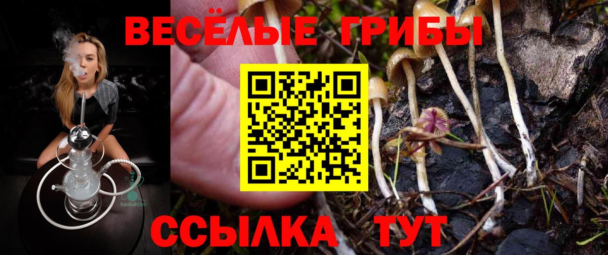 Псилоцибиновые грибы Magic Shrooms  Вход с VPN  Дятьково 